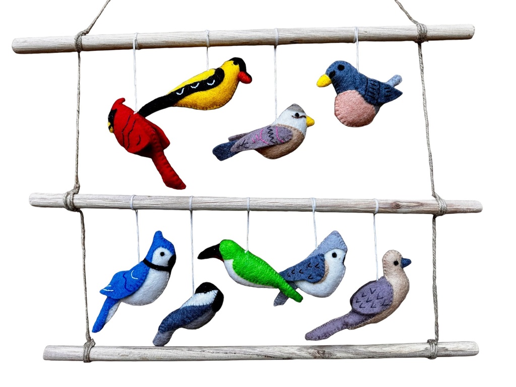 Les oiseaux enchanteur 