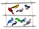 Les oiseaux enchanteur 