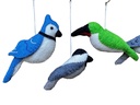 Les oiseaux enchanteur 