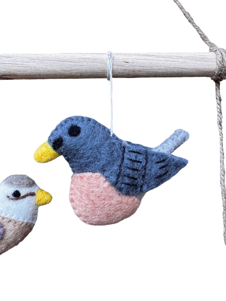 Les oiseaux enchanteur 