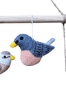 Les oiseaux enchanteur 